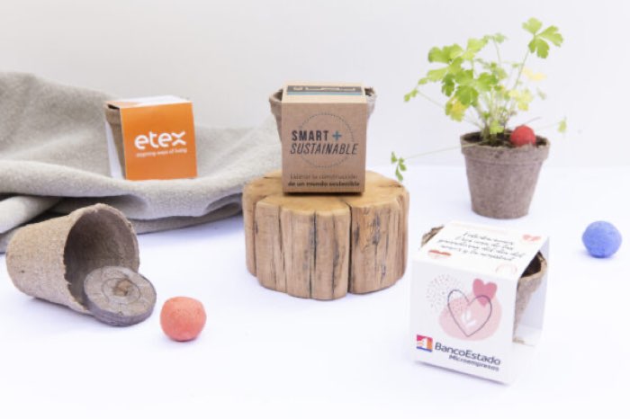 Kit de siembra