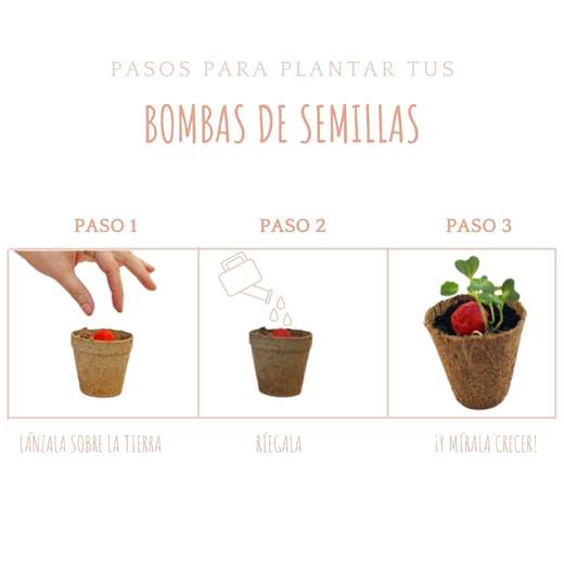 One Love — 3 pasos para plantar