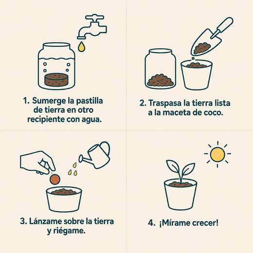 Kit Plantable — 4 instrucciones