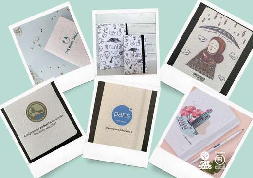 Libreta Plantable — 1 familia paris