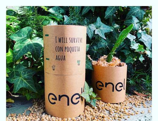 Plantub-Oh! — 2 detalle enel