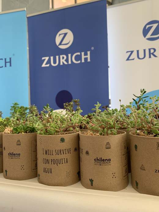 Plantub-Oh! — 4 evento zurich