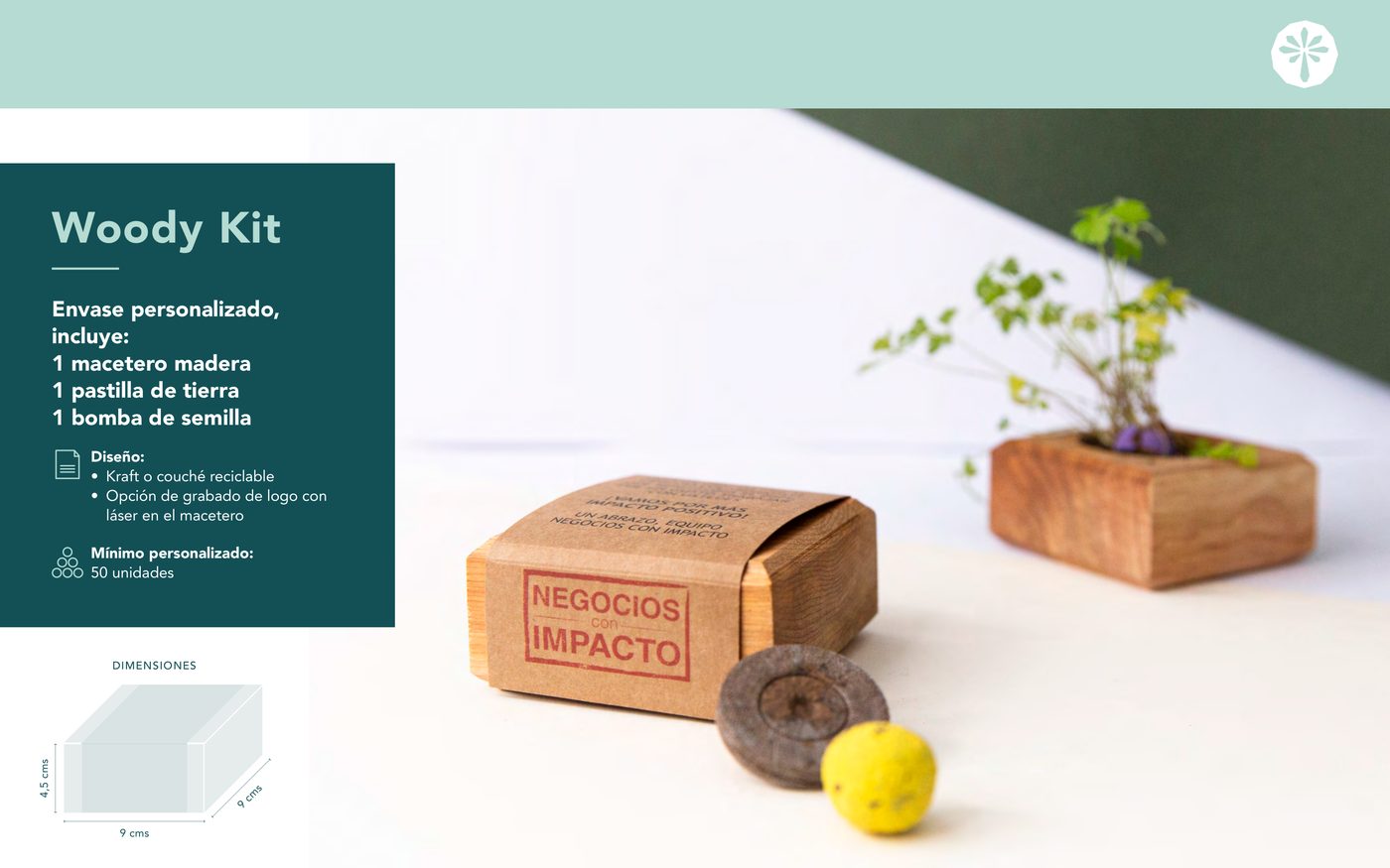 Woody Kit — 0 portada catalogo