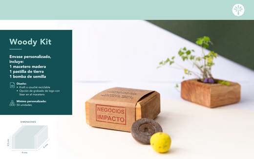 Woody Kit — 0 portada catalogo