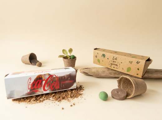 Woody Kit — 3 institucional cocacola