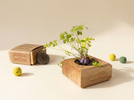 Woody Kit — 6 como funciona brotando